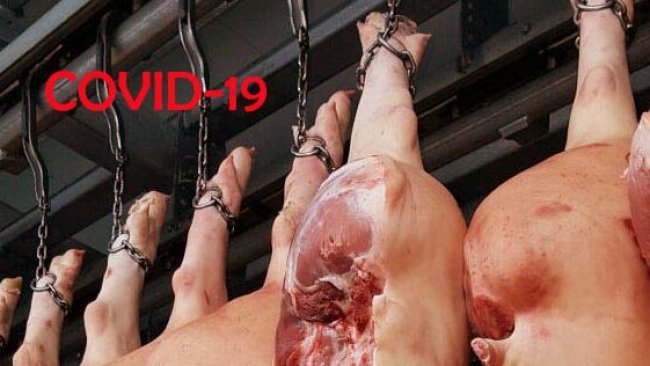 Schlachthöfe Deutschland Covid-19