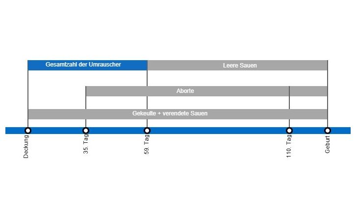 Arten von Embryoverlusten, die die Abferkelrate senken k&ouml;nnen, mit einer detaillierten Beschreibung der verschiedenen Arten des Umrauschens, je nachdem, wann dieses Ph&auml;nomen auftritt.
