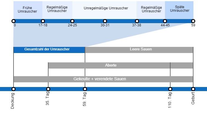 Arten von Embryoverlusten, die die Abferkelrate senken k&ouml;nnen, mit einer detaillierten Beschreibung der verschiedenen Arten des Umrauschens, je nachdem, wann dieses Ph&auml;nomen auftritt.
