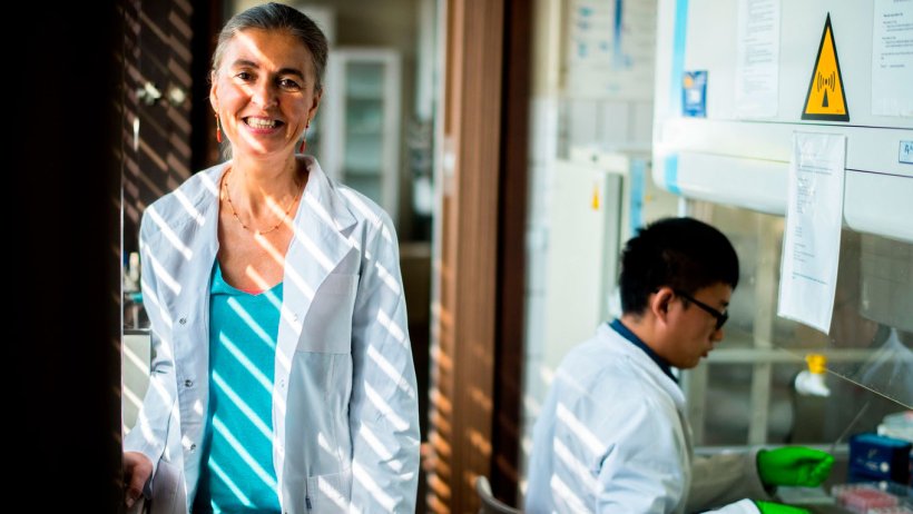 Kristien Van Reeth am Labor für Virologie der Universität Gent, Belgien