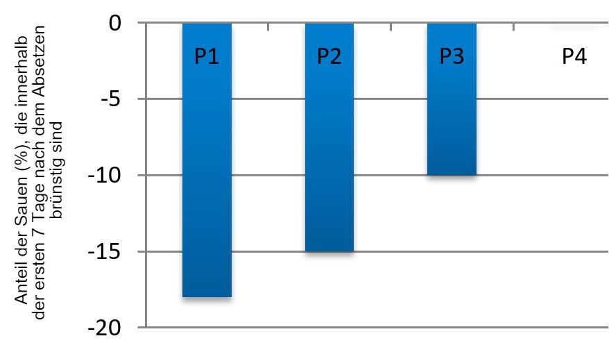 Abbildung 3: Auswirkung der Parit&auml;t auf den Anteil der Sauen, die innerhalb der ersten 7 Tage nach dem Absetzen der Ferkel im Sommer im Vergleich zum Fr&uuml;hjahr in Brunst kommen (nach Belstra et al., 2004).
