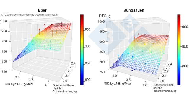 Abbildung 1: Modellierung der Auswirkungen des Lysin-Energie-Verhältnisses und des durchschnittlichen Tagesverbrauchs bei männlichen und weiblichen Tieren zwischen 70 und 105 kg LG (Aymerich et al., 2020)