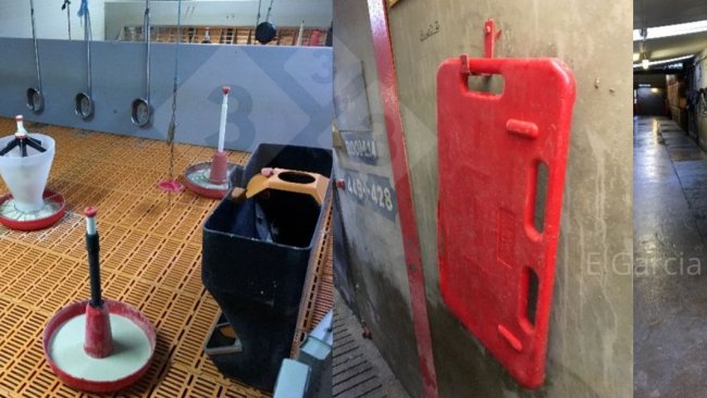 Abbildung 2: Die Vorbereitung des Stalls vor der Ankunft der Ferkel und der gute Zustand und die Sauberkeit des gesamten Materials machen einen großen Unterschied in Bezug auf Hygiene, Effizienz und Komfort für die Ferkel.