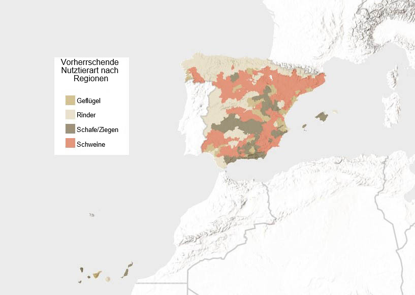 Vorherrschende Nutztierart in Spanien (nach Großvieheinheiten). Quelle: INE.