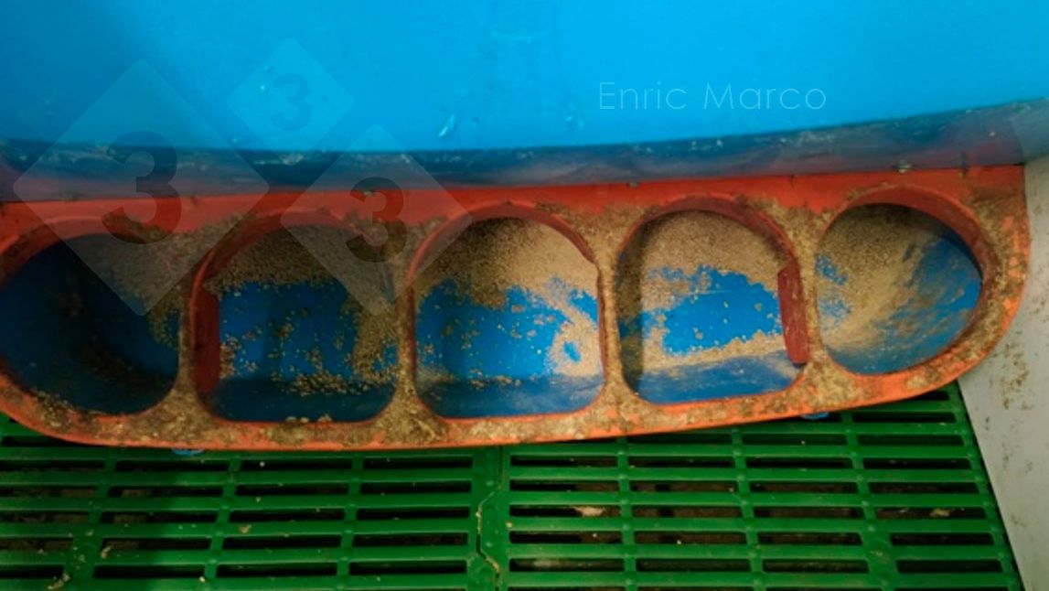 Foto 1: Der Futterautomat ist richtig eingestellt.
