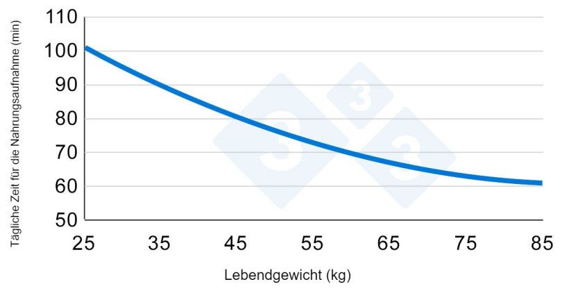Grafik 2: Variation der Zeit, die in der Wachstumsphase der Schweine f&uuml;r die Futteraufnahme aufgewendet wird. Nach Hyun et al., 1997.
