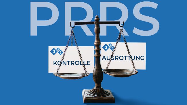 Ausrottung oder Kontrolle von PRRSv
