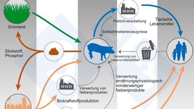 Nach Shurson und Urriola 2022