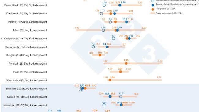 Prognose zu den Schweinepreisen 2024: Vergleich zwischen den Prognosen von 333-Nutzern (erhoben zwischen dem 12. Februar und dem 12. März 2024) und dem tatsächlichen Durchschnittspreis in den Jahren 2022 und 2023. Für jedes Land wird die Bandbreite der Antworten durch den orangefarbenen Balken angezeigt, in dem das Maximum, das Minimum und der Medianwert dargestellt sind. Die tatsächlichen Durchschnittspreise für die Jahre 2022 und 2023 sind durch blaue Punkte gekennzeichnet. Die Zahl der analysierten Daten für jedes Land ist in Klammern angegeben.