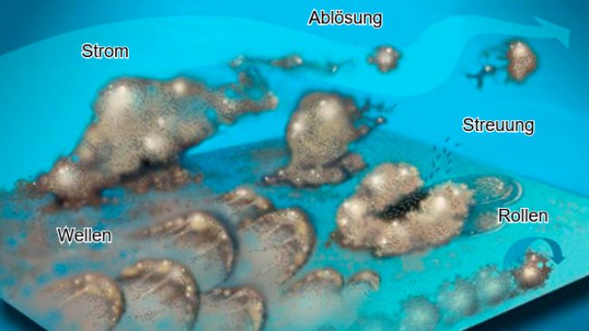 Abb.&nbsp;7: Biofilmbakterien k&ouml;nnen sich auf vielerlei Weise bewegen: entweder gemeinsam in Wellen, rollend auf der Oberfl&auml;che, in Gruppen oder einzeln im Fl&uuml;ssigkeitsstrom verteilt.&nbsp;Quelle: Center for Biofilm Engineering, Montana State University
