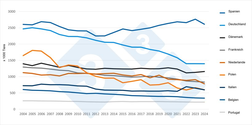 Entwicklung des Sauenbestands in den Haupterzeugerl&auml;ndern der EU (2004-2024). Quelle: 333 mit Eurostat-Daten
