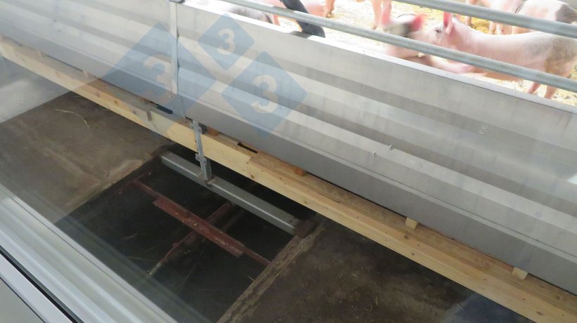 Ein G&uuml;lleschiebersystem am Boden der Buchten bef&ouml;rdert Mist und G&uuml;lle aus den St&auml;llen.
