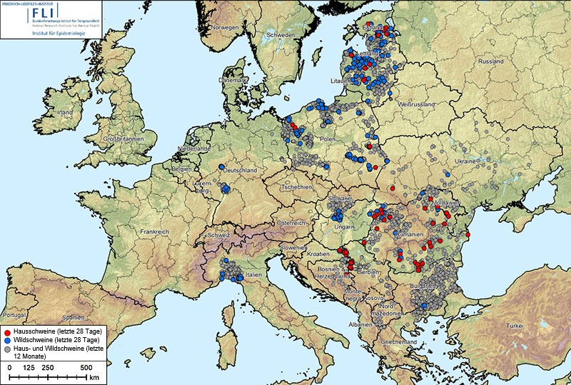 Abb. 1: Ausbr&uuml;che der Afrikanischen Schweinepest (Genotyp II) in Albanien, den baltischen Staaten, Bosnien und Herzegowina, Bulgarien, Deutschland, Griechenland, Italien, Kosovo, Kroatien, Moldawien, Montenegro, Nordmazedonien, Polen, Rum&auml;nien, Schweden, Serbien, Slowakei, Tschechische Republik, Ukraine und Ungarn (20. August 2024 bis 20. August 2025) Datenquelle: ADIS, TSN (Stand: 20. August 2025, 8:40 Uhr)
