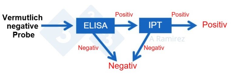 Abbildung 3. Diagramm zum Einsatz des ASF-IPT als Bestätigungstest für Proben, die unerwartet positiv im ASF-ELISA getestet wurden. Eine als negativ eingestufte Probe, die im ELISA negativ getestet wird, gilt als negativ. Wird diese Probe jedoch unerwartet positiv getestet, kann ein ASF-IPT als Bestätigungstest durchgeführt werden. Fällt der IPT-Test positiv aus, wird bestätigt, dass die Probe positiv ist. Fällt der IPT-Test negativ aus, wird von einem falsch positiven Ergebnis ausgegangen, sofern auch der PCR-Test negativ ist, um eine kürzlich erfolgte Infektion auszuschließen.