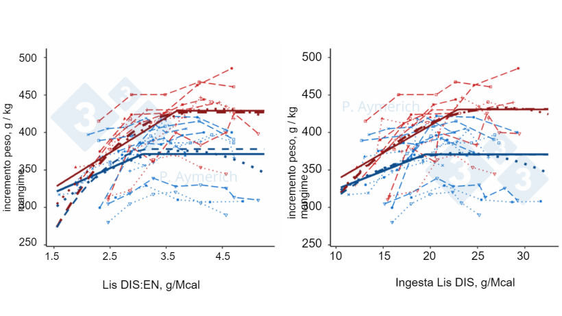 Figura 2. Modello dell'effetto del rapporto lisina-energia e dell'ingestione giornaliera di lisina nei maschi interi (rosso) e femmine (blu) in fase di finissaggio sull'indice di conversione (Aymerich et al., 2021).