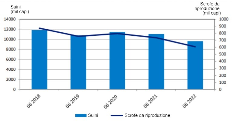 Evoluzione dei censimenti.
