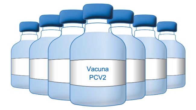Vacuna PCV2