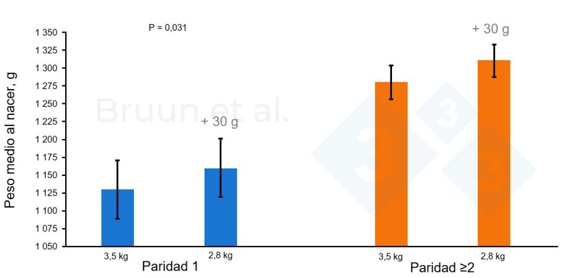 Figura 1. Bump feeding (del día 84 al día 112 de gestación). Adaptado de Bruun et al., 2024: Landbrugsinfo. Publicación nº 1206