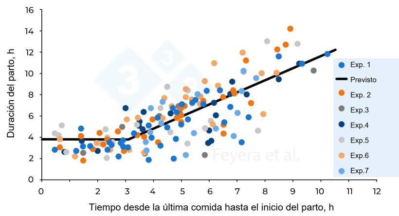 Figura 2. La relación entre el tiempo transcurrido desde la última comida hasta el inicio del parto y la duración del parto. En el Exp. 1, las cerdas recibieron dos raciones diarias mientras que en los Exp. 2 a 7, las cerdas recibieron 3 raciones diarias. Los círculos de diferentes colores indican las cerdas individuales estudiadas en 7 experimentos previos, mientras que la línea continua indica los valores previstos. Feyera et al. (2018): Journal of Animal Science. 96: 2320–2331.