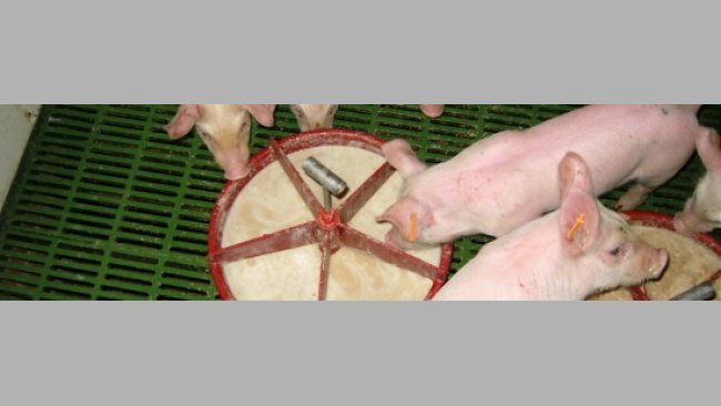 Preparación de una papilla