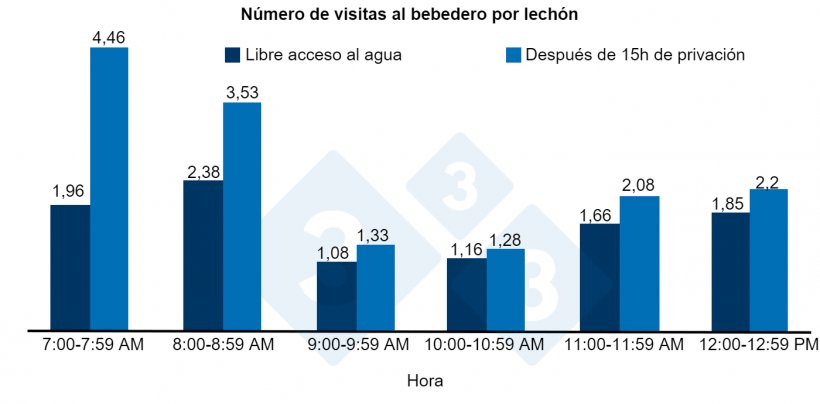 Figura 1. N&uacute;mero de visitas al bebedero por lech&oacute;n tras 15 h de privaci&oacute;n o libre acceso al agua.
