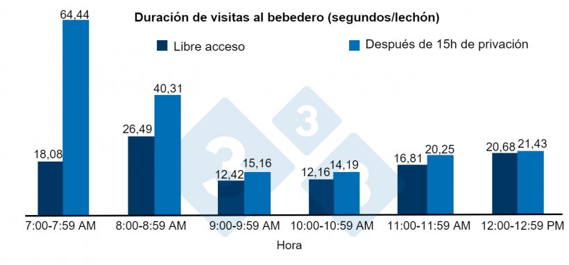 Figura 2.&nbsp;Duraci&oacute;n de visitas&nbsp;al bebedero (segundos) por lech&oacute;n despu&eacute;s de 15 horas de privaci&oacute;n o libre acceso al agua.
