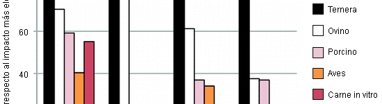 Impacto medioambiental de la producción de carne in vitro