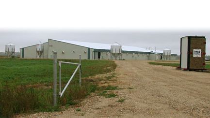 Granja de cerdos