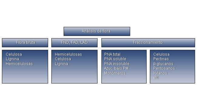 Resumen de las diferentes t&eacute;cnicas anal&iacute;ticas y fracciones de la fibra.