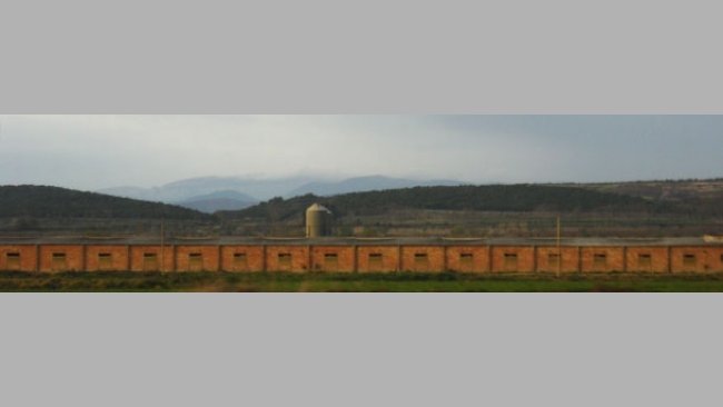 Granja porcina