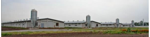 granja ucrania