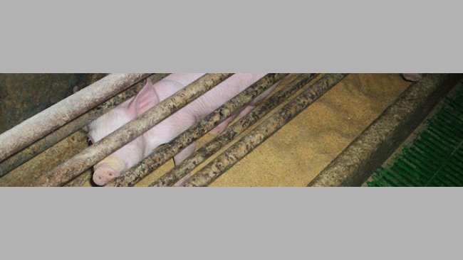 Si las tres zonas no quedan bien delimitadas tendremos problemas