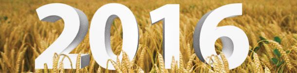 2016, todo el a&ntilde;o por delante