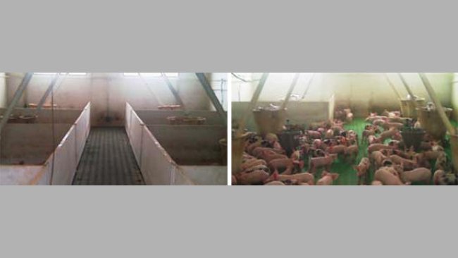 Salas diáfanas frente a convencionales 1