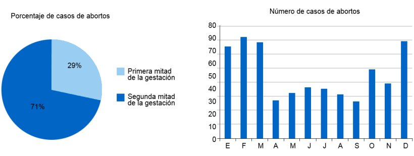 El gr&aacute;fico circular representa el porcentaje de abortos en la primera y la segunda etapa de la gestaci&oacute;n, respectivamente. El gr&aacute;fico de barras representa la estacionalidad de los abortos.