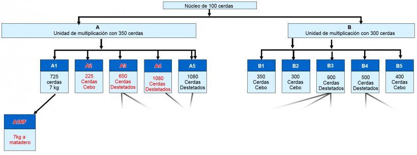 Figura 1. Estructura de la empresa &ndash; todos los sitios en rojo han experimentado EE cl&iacute;nica durante 2015/6.
