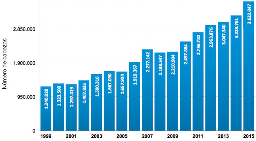 Gráfica 2. Número de cabezas beneficiadas en Colombia entre los años 1999 y 2015. Fuente: Área Económica PorkColombia. Sistema Nacional de Recaudo. Fondo Nacional de la Porcicultura.