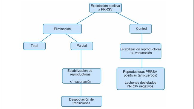 Figura 1. Vista esquemática de los distintos planteamientos en granjas PRRSV positivas