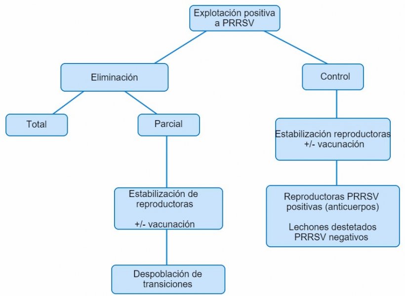 Figura&nbsp;1. Vista esquem&aacute;tica de los distintos planteamientos en granjas PRRSV positivas
