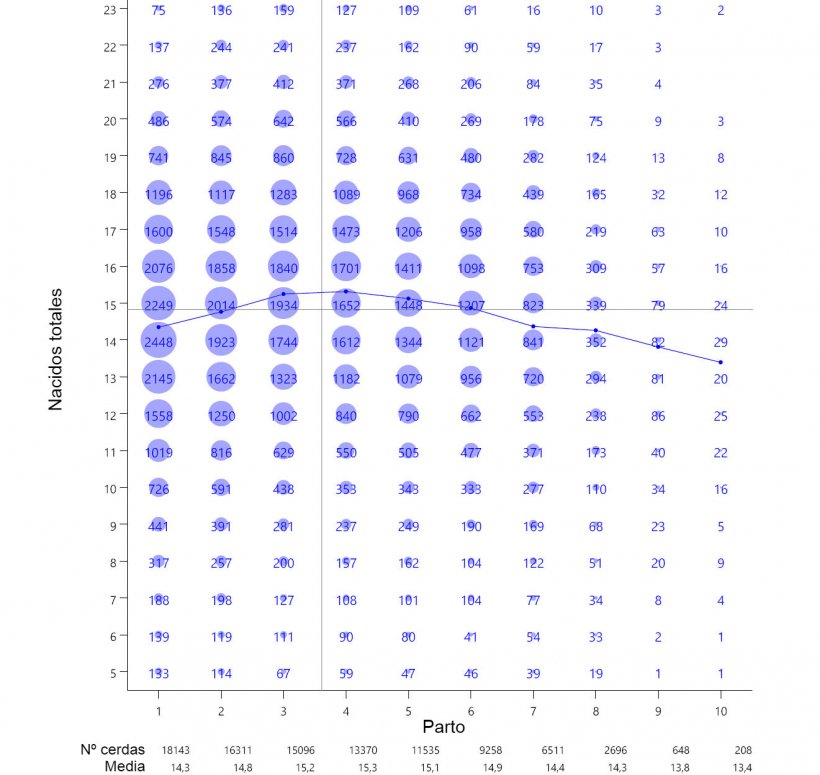 Gráfica 1: Media de lechones nacidos totales por número de parto a partir de 93.896 partos de cerdas hiperprolíficas que tuvieron lugar entre octubre de 2014 y septiembre 2016