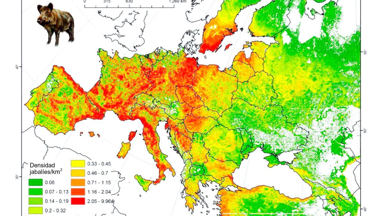 Figura 2: Poblaci&oacute;n modelada de jabal&iacute; en Europa. Fuente: FAO-ASFORCE, Mayo 2015

