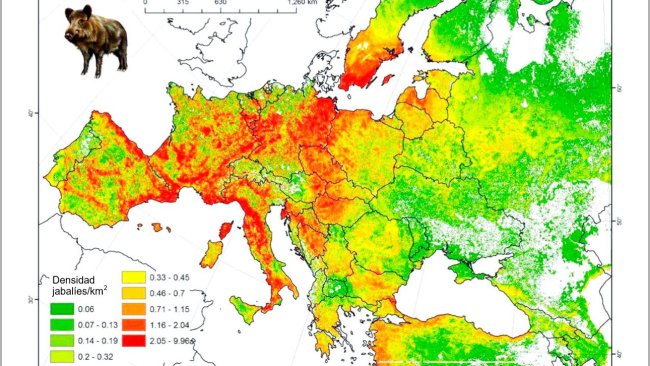 Figura 2: Población modelada de jabalí en Europa. Fuente: FAO-ASFORCE, Mayo 2015
