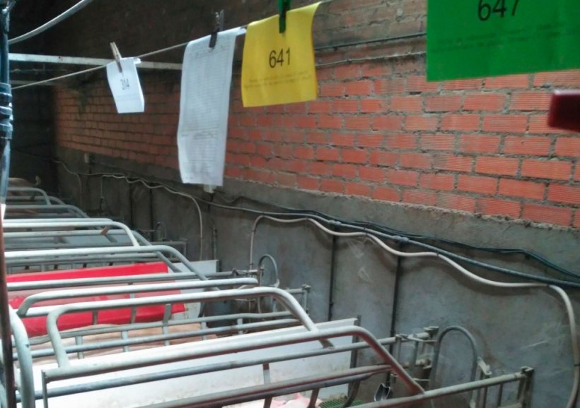 Sala de partos con las tarjetas en diferentes colores