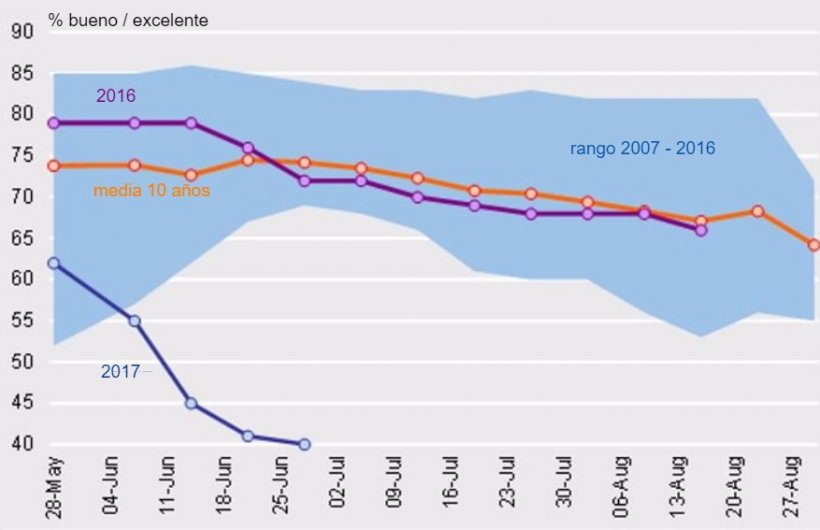 Gráfico 1. Condiciones del cultivo de trigo primavera en USA. Fuente USDA.