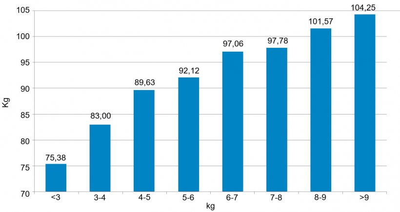 Figura 3. Distribuci&oacute;n de los animales en funci&oacute;n de su peso (kg) a los 159 d&iacute;as. Los 6 kg de diferencia entre el 5% de cerdos con menos peso y el 5% con m&aacute;s peso que se detectaron al destete (figura 2) se han convertido en 30 kg.
