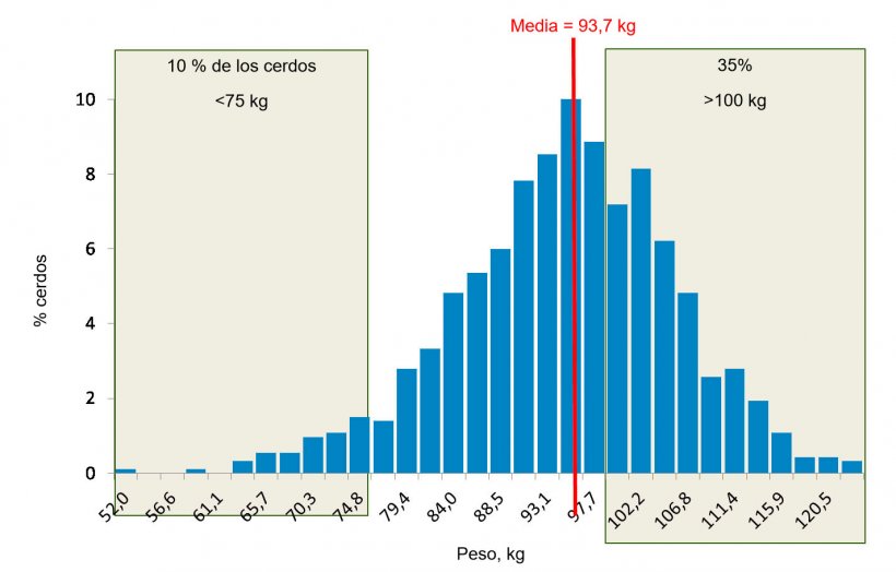 Figura 5. Distribuci&oacute;n de pesos al final del engorde. El 35% de los cerdos pesan m&aacute;s de 100 kg, mientras que el 10% est&aacute;n por debajo de los 75 kg.
