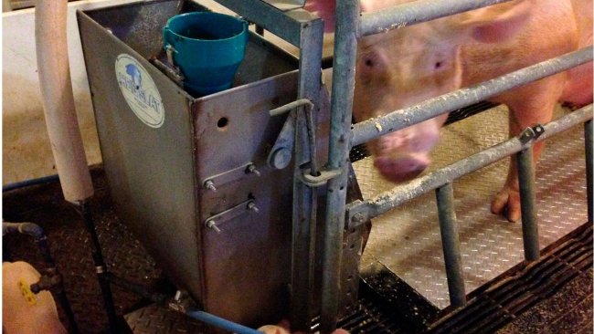 Figure 2 – Prototipo de la placa refrigerante Purdue durante el test en la sala de partos.