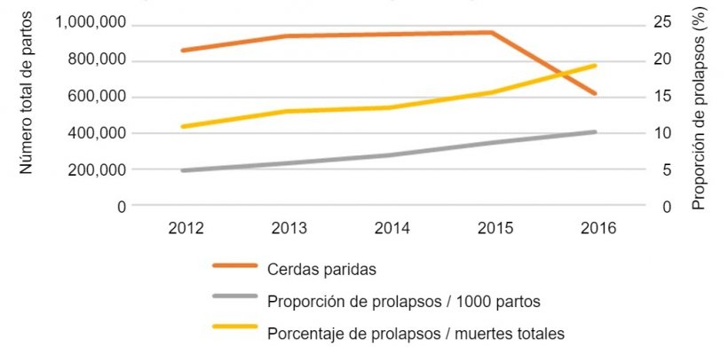 Fig.1. N&uacute;mero total de partos en el an&aacute;lisis y evoluci&oacute;n en&nbsp;el tiempo de la proporci&oacute;n de prolapsos de cerdas&nbsp;sobre 1000 cerdas paridas o sobre el n&uacute;mero total de muertes de cerdas en las granjas.
