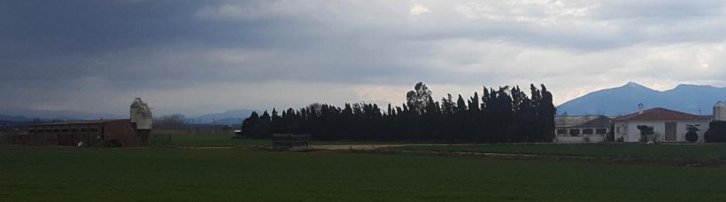 Foto 2. La nave de cuarentena tiene una funci&oacute;n de protecci&oacute;n de la sanidad de la granja. Debe permitir &ldquo;aislar&rdquo; las nuevas reproductoras llegadas a la granja hasta que hayamos comprobado su estado sanitario. Debe estar lo m&aacute;s alejada posible de las otras naves de la granja y mantener un manejo independiente.
