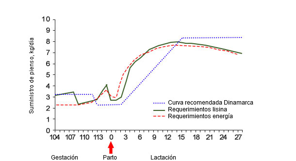 Gr&aacute;fica 2. Cantidad de pienso requerida para un aporte de energ&iacute;a y lisina ideales en comparaci&oacute;n con la curva de alimentaci&oacute;n recomendada en Dinamarca durante la transici&oacute;n y lactaci&oacute;n (Theil, 2017).
